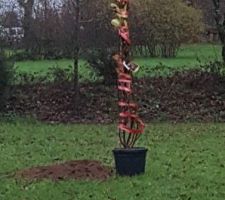 Première étape et dernière sur 2019 plantations des arbres et d'une haie végétale variée 
Après ce sera la maçonnerie en préparation de la pose du portail électrique, puis pose d'un grillage le long de la route pour finaliser, puis enrobage et aménagement électrique de l'allée