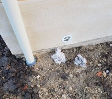 Déchets