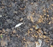 Déchets (bouteille, etc)