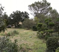 Le terrain original. Vue de l'entrée depuis le fond du jardin.