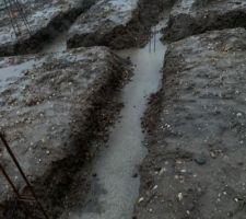 La pluie s?est invitée...