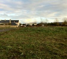 Le terrain nettoyé