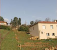 Plantation haie séparative en cours