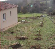 Plantation haie séparative en cours