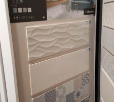 Joli choix de fa&iuml;ence propos&eacute; par notre constructeur en collaboration avec #decoceram o&ugrave; nous avons &eacute;t&eacute; tr&egrave;s bien re&ccedil;us et conseill&eacute;s.