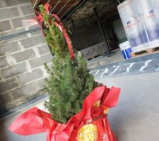 Le premier sapin de la maison !
