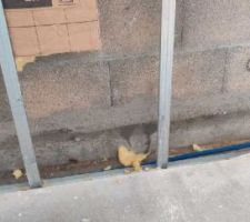 Photo prise ce jour &agrave; notre arriv&eacute;e dans la maison
AVANT