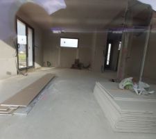 Pose placo doucement mais sûrement. Les artisans sur deux semaines n'ont du travailler que 3 jours maximum. 
Ils vont devoir accélérer compte tenu du planning de la prochaine étape debaut janvier