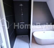 Vu projet pour la sdb. Déjà très clair dans mon esprit. C'était pour aider M. à voir dans ma tête ^^. Certains petits bout de murs ont été mis juste pour délimiter les carrelages muraux. Impossible d'apposer juste sur une partie de mur... J'ai du séparer... Une pierre bleu sera sûrement posée au dessus du muré derrière la baignoire.