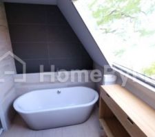 Vu projet pour la sdb. Déjà très clair dans mon esprit. C'était pour aider M. à voir dans ma tête ^^. Certains petits bout de murs ont été mis juste pour délimiter les carrelages muraux. Impossible d'apposer juste sur une partie de mur... J'ai du séparer... Une pierre bleu sera sûrement posée au dessus du muré derrière la baignoire.