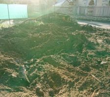 Carnage après dessouchage réussi