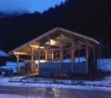 La Bistorte dans la nuit hivernale