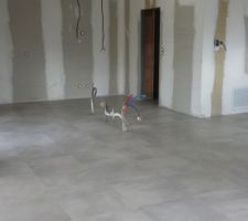 Pose de carrelage 60x60 gré cérame pleine masse rectifié en pose scellée