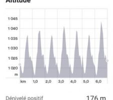 Les sports d'hiver à la porte de la maison : mon parcours en ski de fond