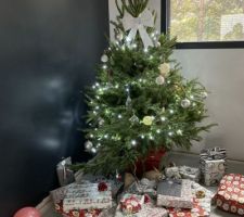 Le sapin s?est invité pendant que la peinture sèche