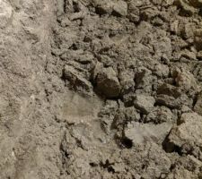 Buanderie: Toute petite inondation à cause des pluies