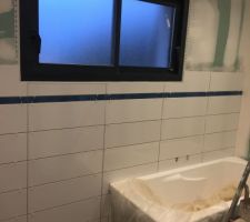 Faïence salle de bain 

20x60

Blanc avec un listel bleu
