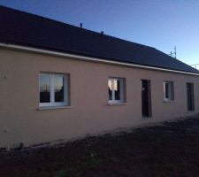 Crépis en cours