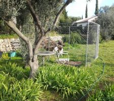 La restanque qui accueillera la plus grande partie de la maison, le "chenil" se trouve pile &agrave; la place de la future pi&egrave;ce de vie