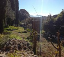 Pause de la cl&ocirc;ture, Vue sur la m&eacute;diterran&eacute;e, la maison sera &agrave; gauche de la ligne de cypr&egrave;s