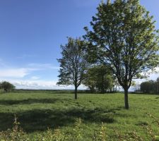 Terrain expos&eacute; Sud 1230 m2