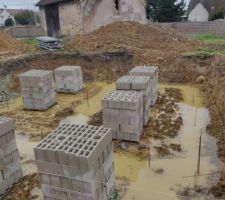Vide sanitaire en cours ...