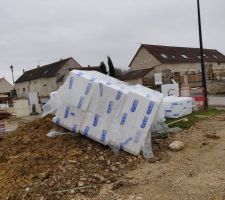 Vide sanitaire en cours ...