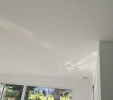 Plafond pi&egrave;ce de vie