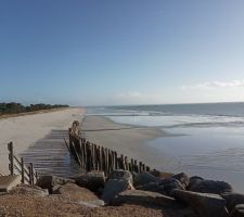 Jogging ce matin sous le soleil breton