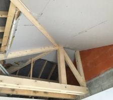 Déplafonnement dans l'espace salon avec charpente traditionnelle apparente... In Progress !