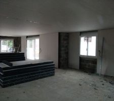 Début de Pose des polyplac sur les murs. Pose du placo pour le plafond