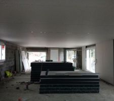 Début de Pose des polyplac sur les murs. Pose du placo pour le plafond