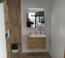 Choix du carrelage et meubles SDB. SdE Rdc, inspiration