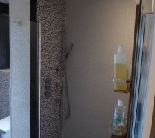 Vue douche à l'Italienne (robinetterie intégrée) : Salle de Bain privative de la suite parentale.