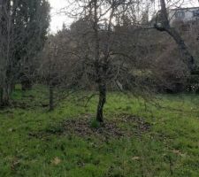 Diff&eacute;rente vu au nord et sud