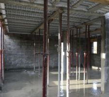 Un for&ecirc;t d'&eacute;tais :D