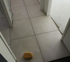 Carrelage toilette et couloir 60