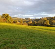 Champ sur lequel sera construit un lotissement de 4 lots + zone qui restera agricole.
La vue est prise depuis notre terrain !