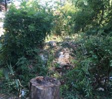 Mur en pierre meuli&egrave;re &agrave; d&eacute;truire