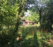 L'habitation &agrave; d&eacute;truire.