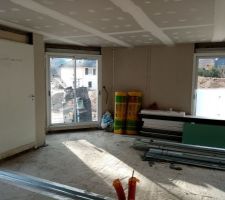 Suite pose rails placo et début des cloisons et pose des portes.
