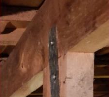 Mise en place de vis a bois 2