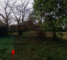 Terrain avant nettoyage