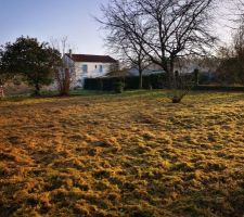Terrain avant nettoyage
