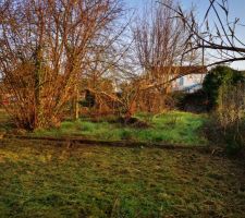 Terrain avant nettoyage
