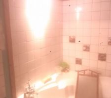 La SDB a renover,avec spots sur cable au dessus de la baignoire.