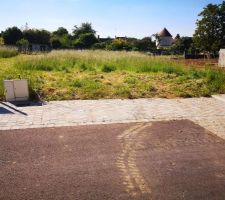 Terrain en cours de nettoyage