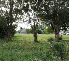 Photo du terrain