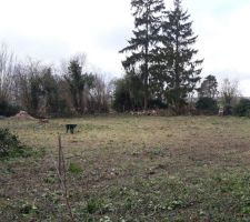 Pr&eacute;paration terrain