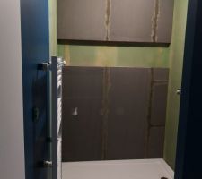 Douche salle d'eau avec niche